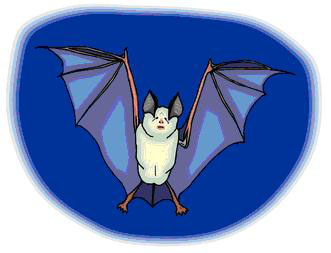 Bat Cartoon