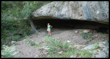 Shelter