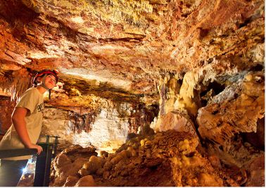 Avery Ranch Cave